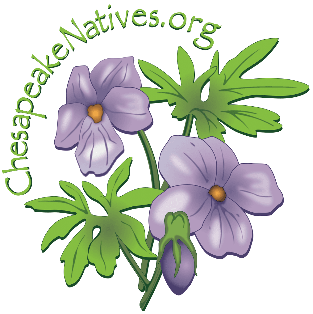 Chesapeake Natives logo