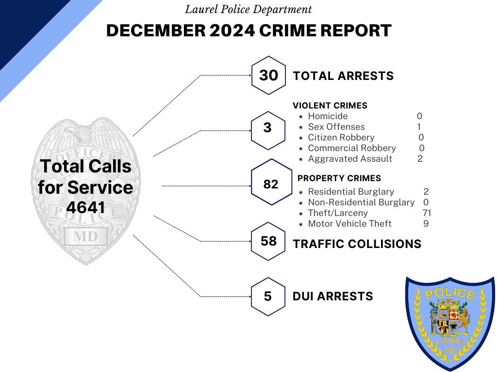 Annual-December 2024 Monthly Crime Report Graphic
