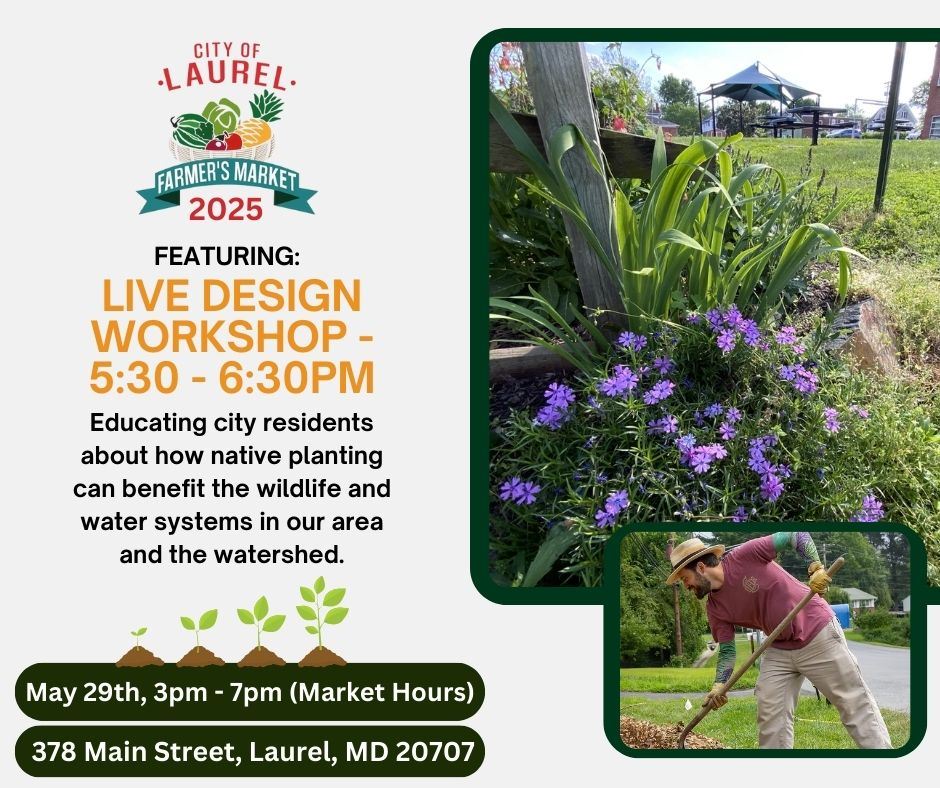 Native Gardening Workshop